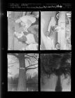 Polio shots; Billy Brown; High water Marchk; Green Street Greenville bridge (4 Negatives) (April 9, 1956) [Sleeve 4, Folder b, Box 10]